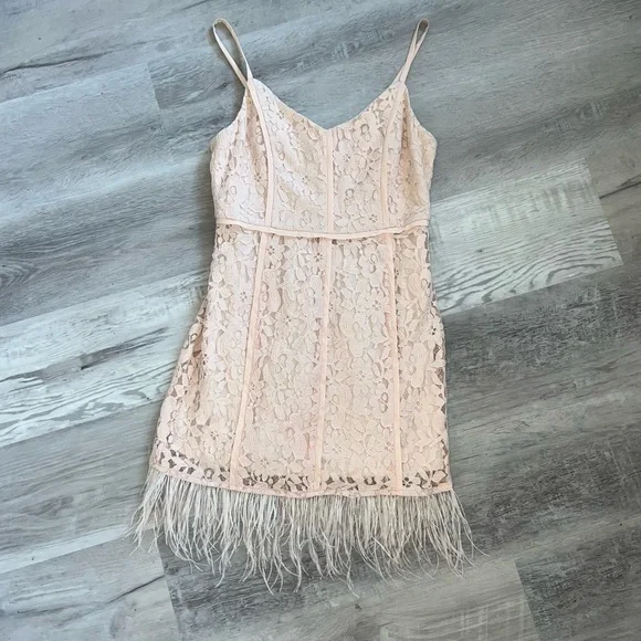 NWT GB Lace Feather Trim dress